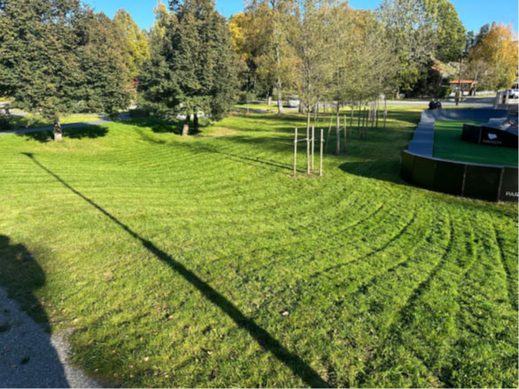 Övriga tjänster Övriga tjänster